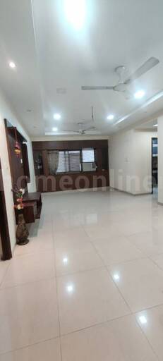 2 BHK APARTMENT 1356 sq- ft in New Palasiya