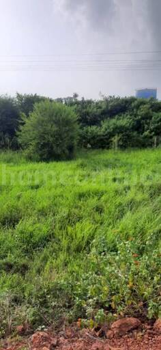 RESIDENTIAL PLOT 1187 sq- ft in Panagar