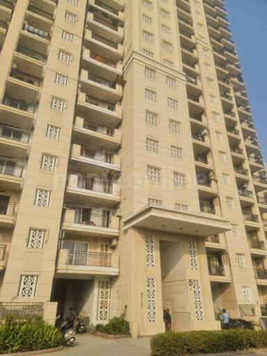 5 BHK PENTHOUSE APARTMENT 7800 sq- ft in Sector 109