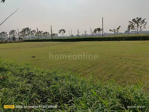 RESIDENTIAL PLOT 2400 sq- ft in Amleshwar