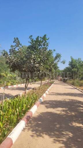 RESIDENTIAL PLOT 638 sq- yd in Govindpura - Sirsi Link Road, Hanuman Nagar